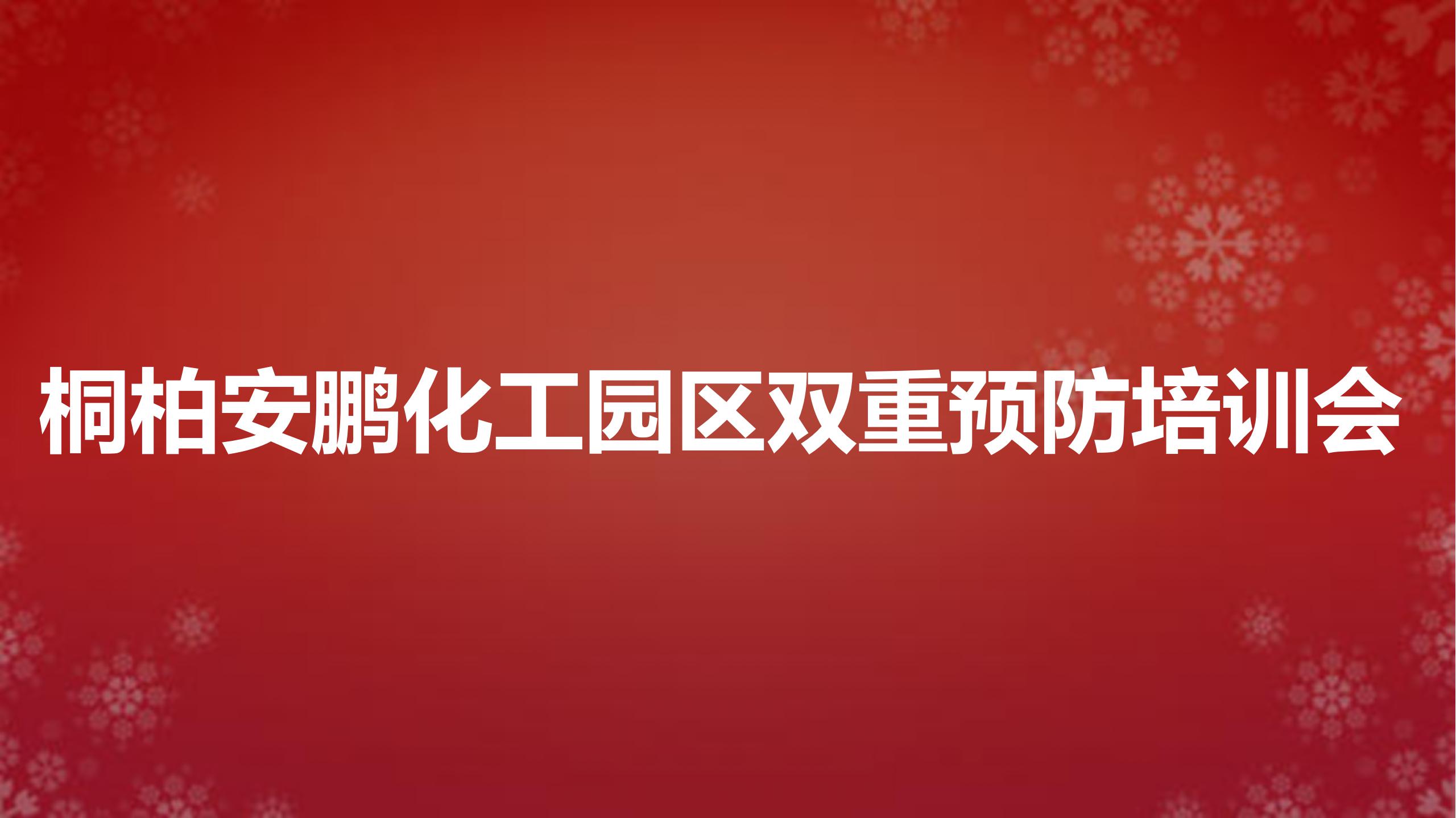 桐柏某化工園區(qū)雙重預防軟件培訓